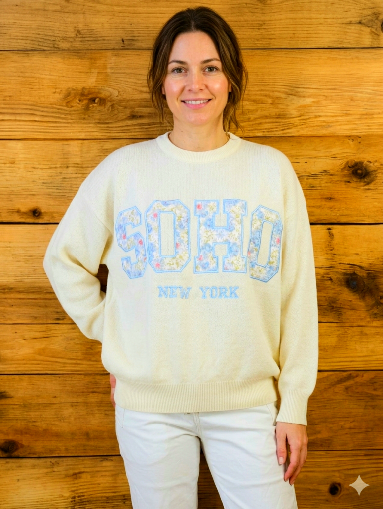 Pull Femme inscription SOHO Lettres Florales Bleues